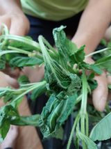 팜모닝 자유주제·자유게시판 게시글 이미지