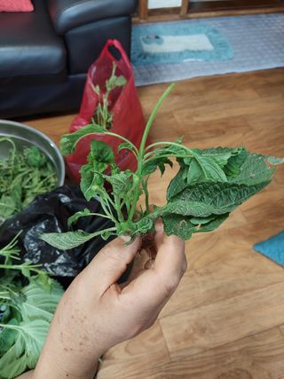 늘티님의 자유주제 · 자유게시판 작성글 사진