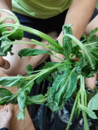 늘티님의 자유주제 · 자유게시판 작성글 사진