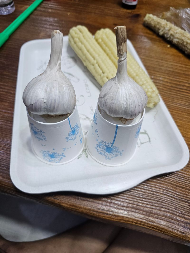 아산울시님의 장터 판매 상품 [서산토종육쪽마늘 판매완료요] 첨부 사진