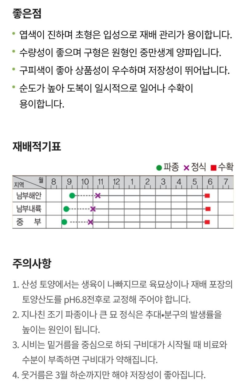 대산농사대장님의 장터 판매 상품 [소포장 중만생 양파씨앗] 첨부 사진