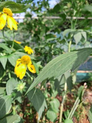 최한기님의 자유주제 · 자유게시판 작성글 사진