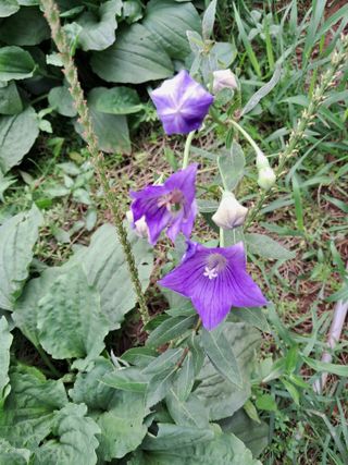 최한기님의 자유주제 · 자유게시판 작성글 사진