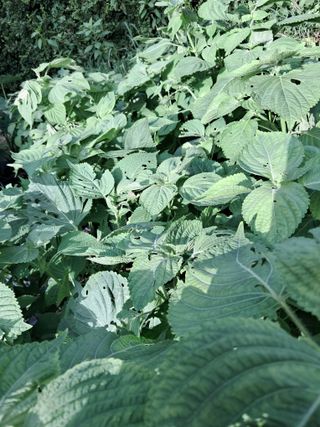 최한기님의 자유주제 · 자유게시판 작성글 사진