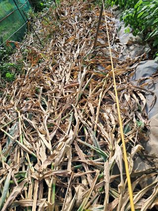 최한기님의 자유주제 · 자유게시판 작성글 사진