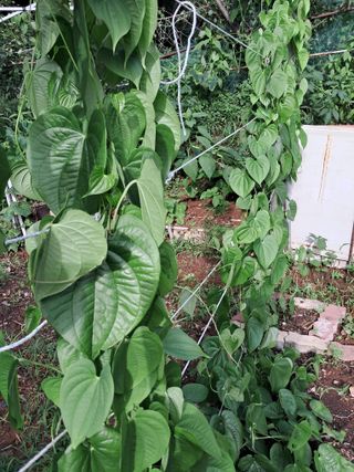 최한기님의 자유주제 · 자유게시판 작성글 사진