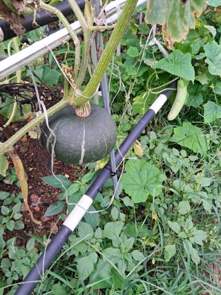 최한기님의 자유주제 · 자유게시판 작성글 사진