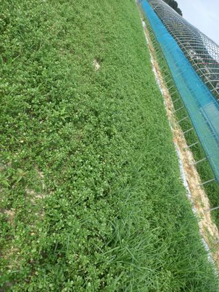 Happy100w님의 자유주제 · 자유게시판 작성글 사진