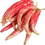 팜모닝 고추·병해충상담 게시글 이미지