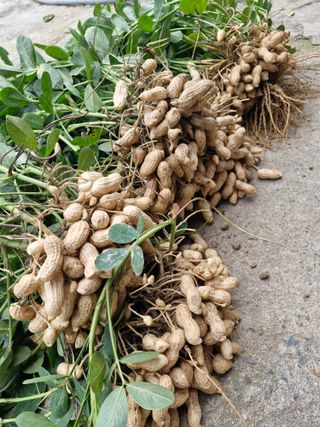 !정의규님의 자유주제 · 자유게시판 작성글 사진