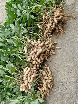 !정의규님의 자유주제 · 자유게시판 작성글 사진