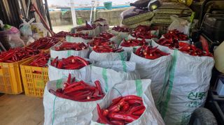 오늘도힘찬농부님의 자유주제 · 자유게시판 작성글 사진