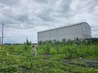오세찬님의 ☀️8월 농작업 계획 · 참여글 작성글 사진