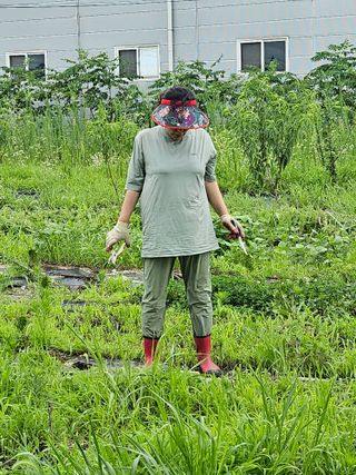 오세찬님의 ☀️8월 농작업 계획 · 참여글 작성글 사진