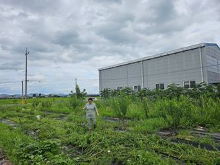 오세찬님의 ☀️8월 농작업 계획 · 참여글 작성글 사진