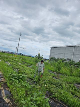 오세찬님의 ☀️8월 농작업 계획 · 참여글 작성글 사진