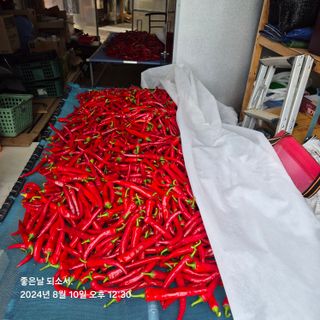 김진님의 자유주제 · 자유게시판 작성글 사진