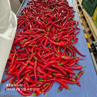 김진님의 자유주제 · 자유게시판 작성글 사진