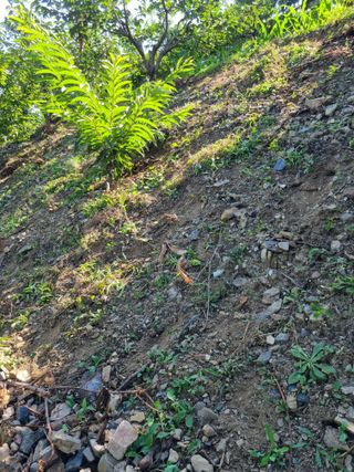 김용대님의 자유주제 · 자유게시판 작성글 사진