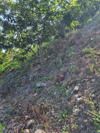 김용대님의 자유주제 · 자유게시판 작성글 사진