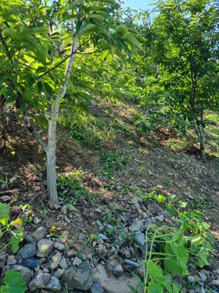 김용대님의 자유주제 · 자유게시판 작성글 사진