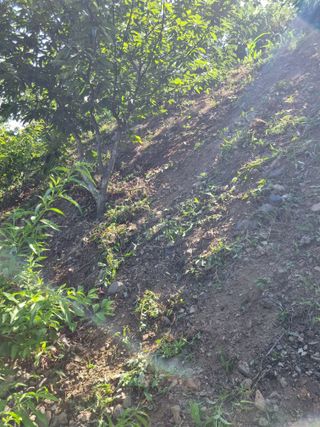 김용대님의 자유주제 · 자유게시판 작성글 사진