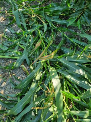 김용대님의 자유주제 · 자유게시판 작성글 사진