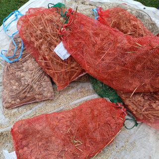 삼성농산님의 마늘 · 일상 작성글 사진