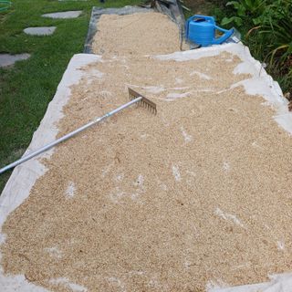 삼성농산님의 마늘 · 일상 작성글 사진