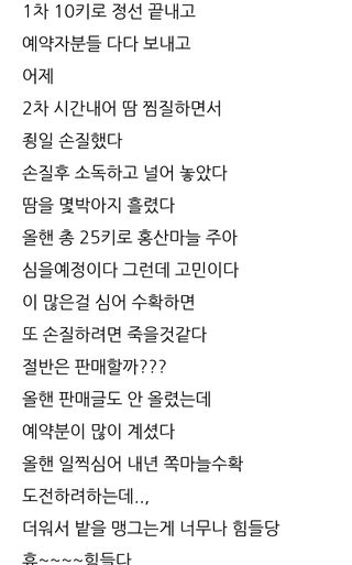 삼성농산님의 마늘 · 일상 작성글 사진