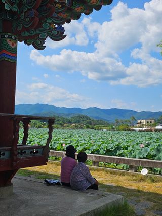 배성은365님의 자유주제 · 자유게시판 작성글 사진
