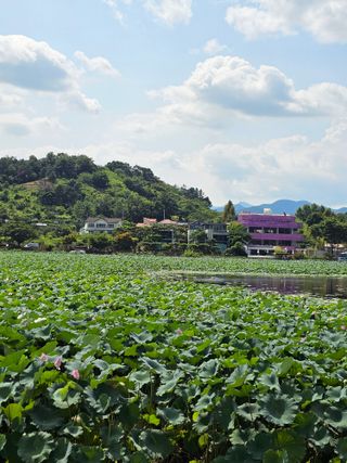 배성은365님의 자유주제 · 자유게시판 작성글 사진