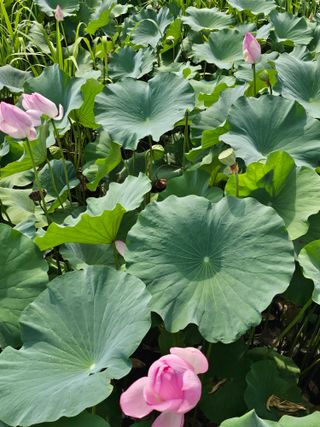 배성은365님의 자유주제 · 자유게시판 작성글 사진