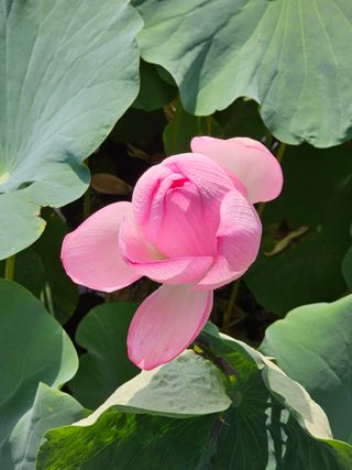 배성은365님의 자유주제 · 자유게시판 작성글 사진