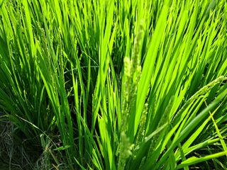 병찬님의 자유주제 · 자유게시판 작성글 사진