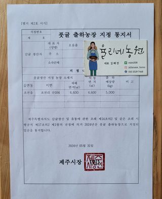 감귤해진님의 작성글 사진