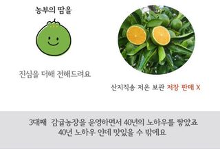 감귤해진님의 작성글 사진