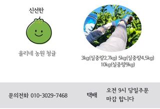 감귤해진님의 작성글 사진