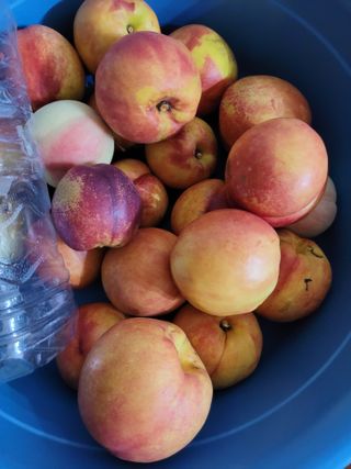 땅땅님의 자유주제 · 자유게시판 작성글 사진