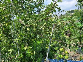 땅땅님의 자유주제 · 자유게시판 작성글 사진