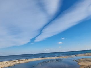 둥이농장(김준태)님의 자유주제 · 자유게시판 작성글 사진