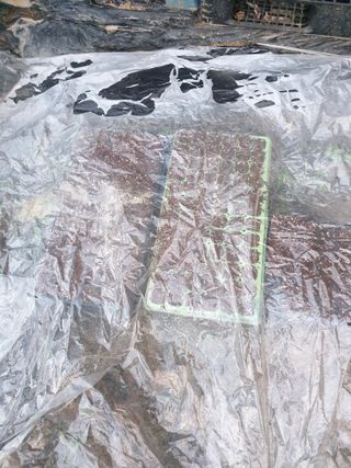 샤이니바다님의 배추 · 영농일지 작성글 사진