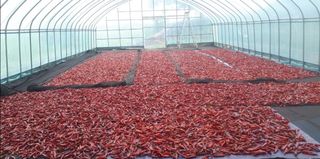 둥이농장(김준태)님의 자유주제 · 자유게시판 작성글 사진