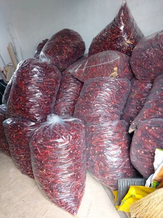 둥이농장(김준태)님의 자유주제 · 자유게시판 작성글 사진