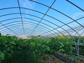 내츄럴팜 채명심님의 기타작물 · 영농일지 작성글 사진