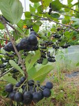 팜모닝 자유주제·사진전 게시글 이미지