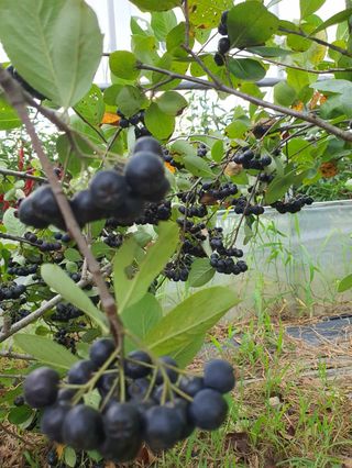 비타민님의 자유주제 · 사진전 작성글 사진