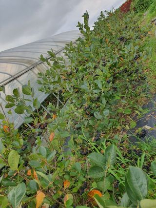 비타민님의 자유주제 · 사진전 작성글 사진