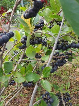 비타민님의 자유주제 · 사진전 작성글 사진