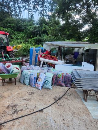 이덕우님의 고추 · 영농일지 작성글 사진